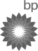 BP logo